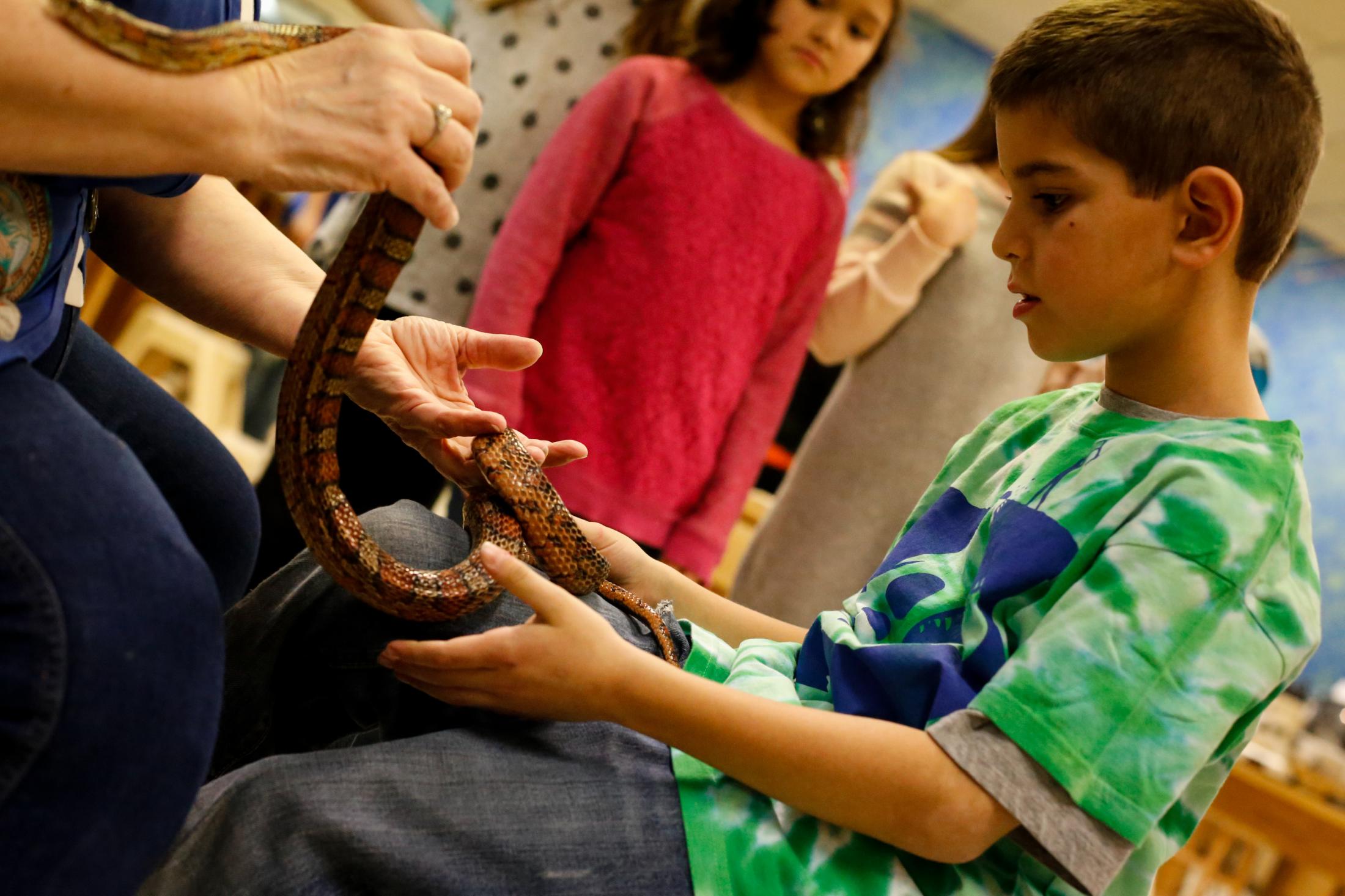 Outreach Museum Based Programs New Mexico Museum Of Natural History 